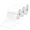 3 x Genuine Brother RD-S02C1 Label Roll - 102mm x 152mm - 270 Labels (3 rolls per Box)